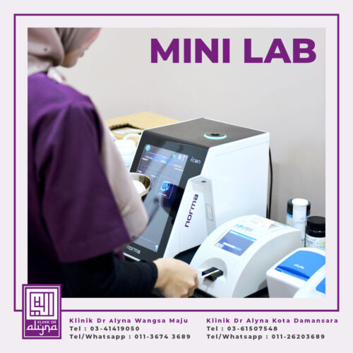 mini-lab