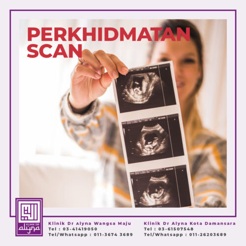 perkhidmatan-scan