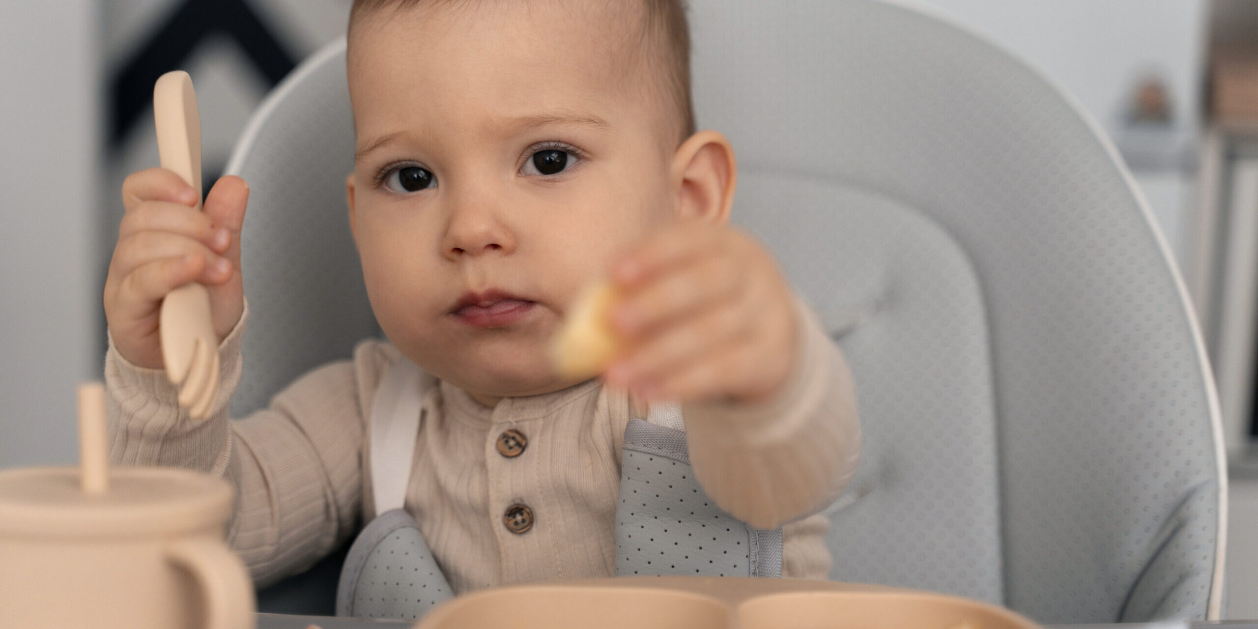 Baby Makan Solid Food