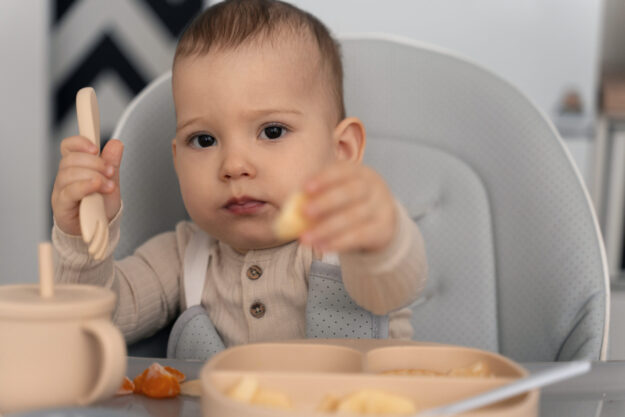Baby Makan Solid Food