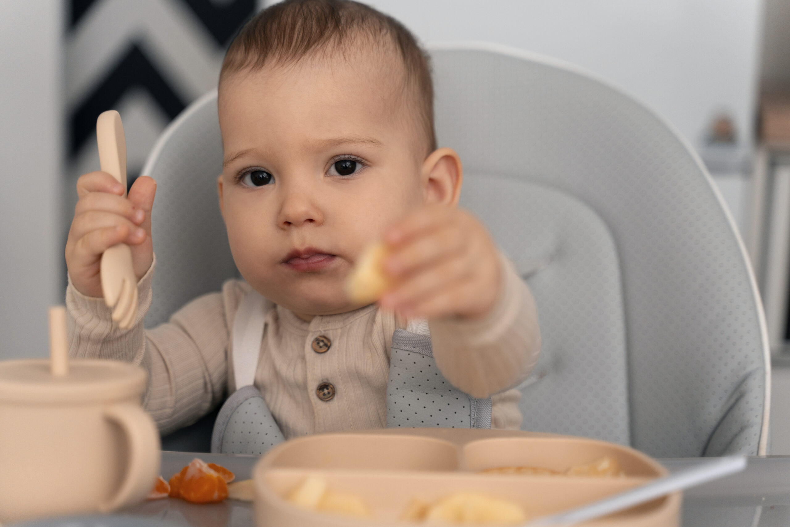 Baby Makan Solid Food