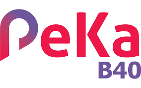 Klinik panel Peka B40
